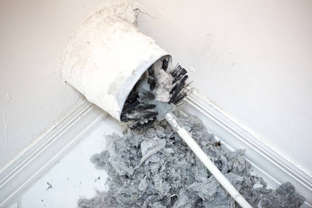 Best Local Air Duct Cleaning Services  in Maplewood, WA